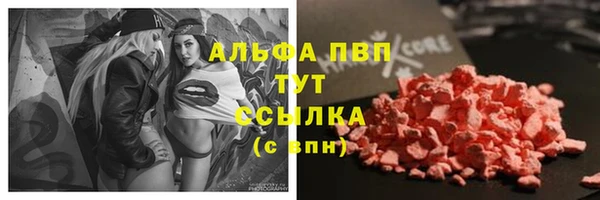 индика Абинск